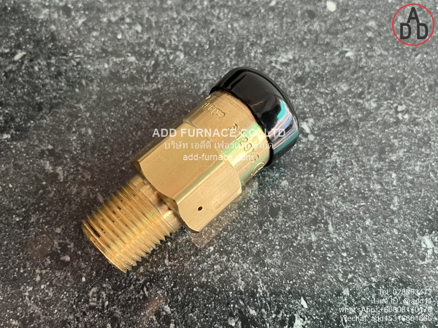 Rego 3129G Safety Relief Valve (7)